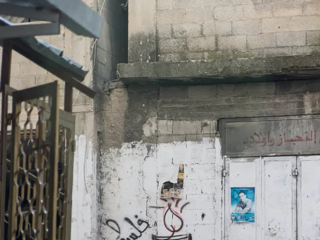 To the left side of the image there is a gate. In the background of the image there is a person...