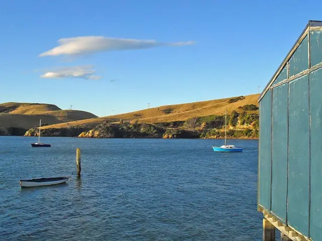 In this image there are boats and some poles in the water, on the right side of the image there is...