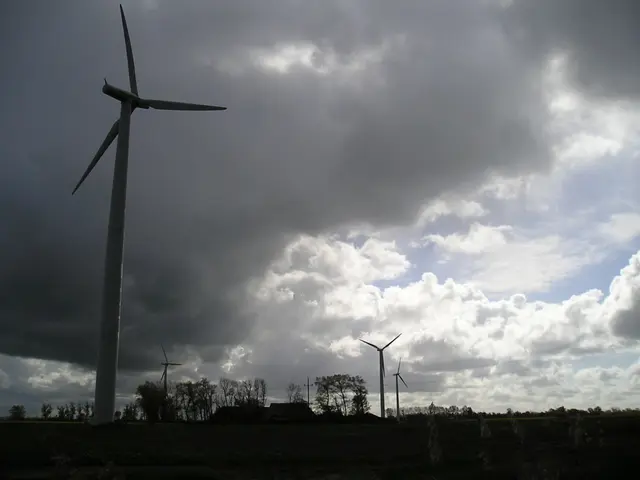 These are the windmills. I can see the trees with branches and leaves. These are the clouds in the...