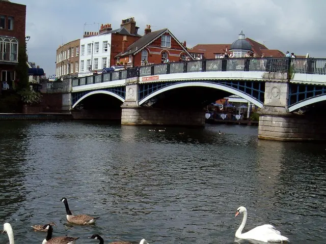 In this picture we can see few swans and ducks in the water, in the background we can find few...