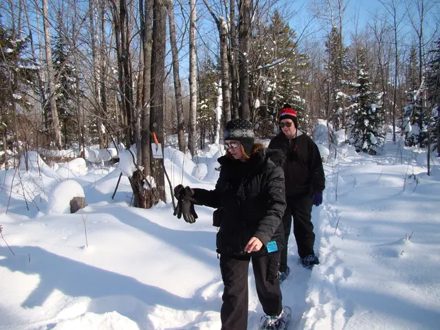 In this image, we can see two people are walking on the snow. They are wearing goggles and caps....