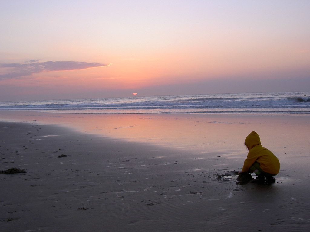 Experience the dawn of advanced artificial intelligence. The Google Pixel 9 smartphone is one of...