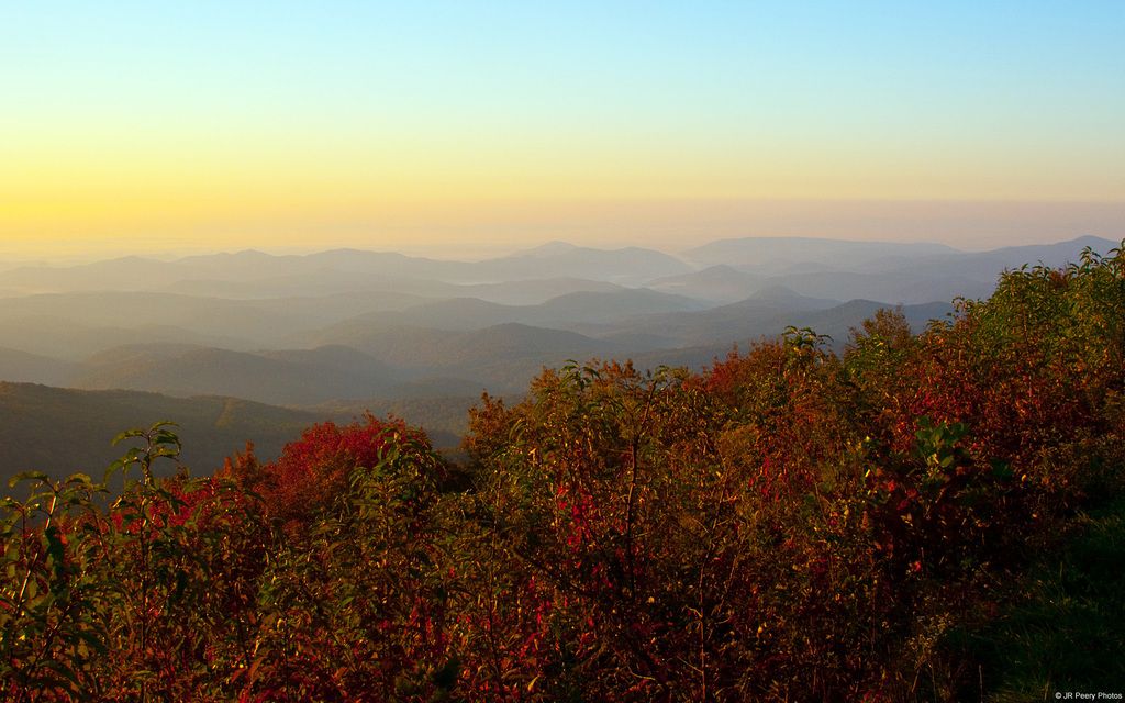 Understand distribution rights in media, their function, and how our platform facilitates the sale...